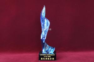 现代挖掘机中国区最优秀服务奖2014年
