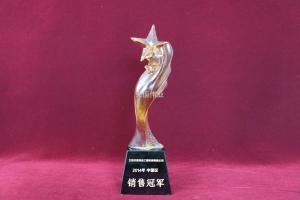 现代挖掘机中国区销售冠军2014年