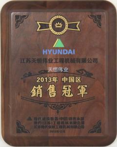 中国区现代挖掘机销售冠军2013年
